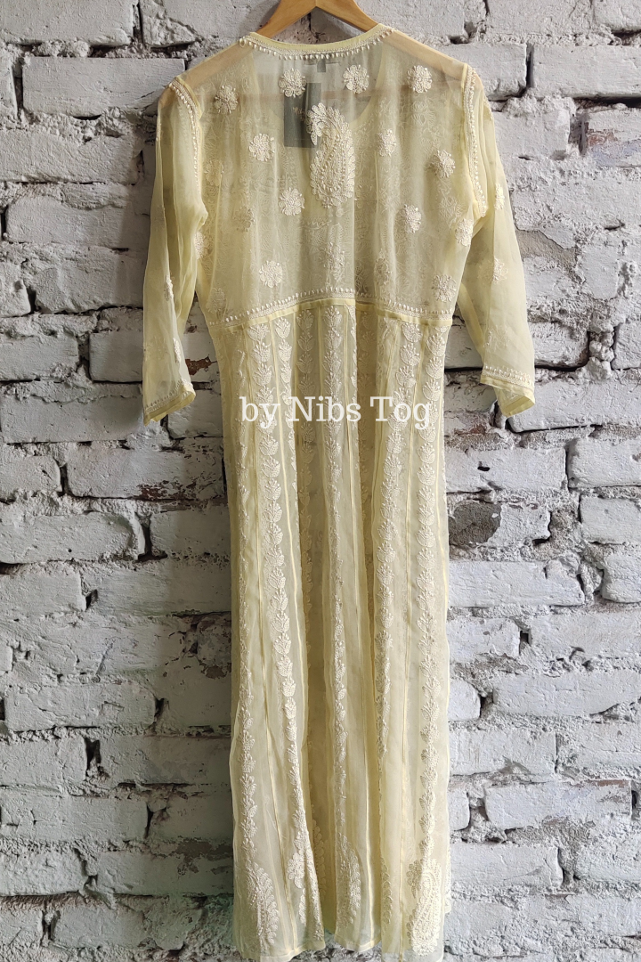 Resham Chikankari Anarkali Kurta