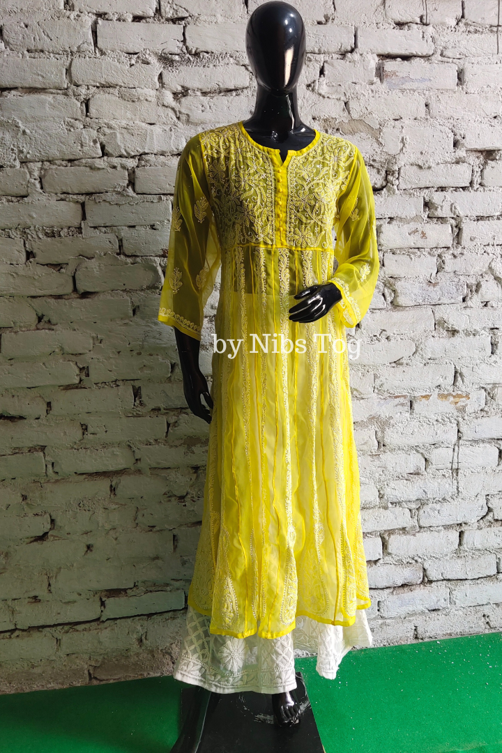 Resham Chikankari Anarkali Kurta
