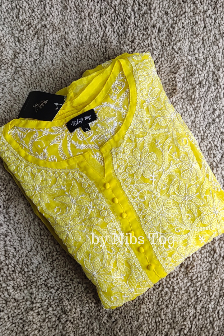 Resham Chikankari Anarkali Kurta