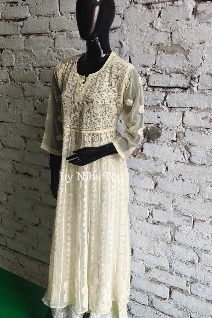 Resham Chikankari Anarkali Kurta